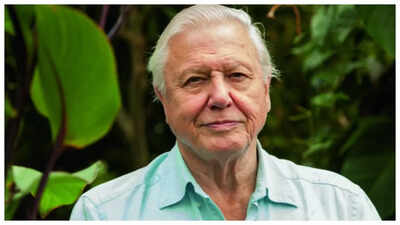 Broadcaster David Attenborough turned 99 last month. THESE 5 habits are his secret to longevity (and they are so easy to follow!)