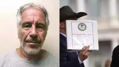 'There's nothing there in the file': Did Jeffrey Epstein die by suicide? What FBI deputy said