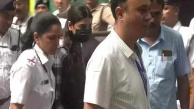  BJP files FIR against man who accused Sharmistha; Wazahat Khan now faces charges himself