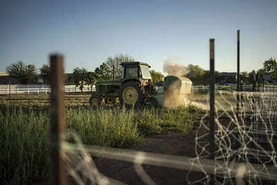 Why is the EU still buying Russian fertilizer?