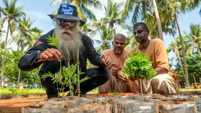 . World Environment Day: Sadhguru's Cauvery Calling adds 1.36 crore trees; aim to revive river