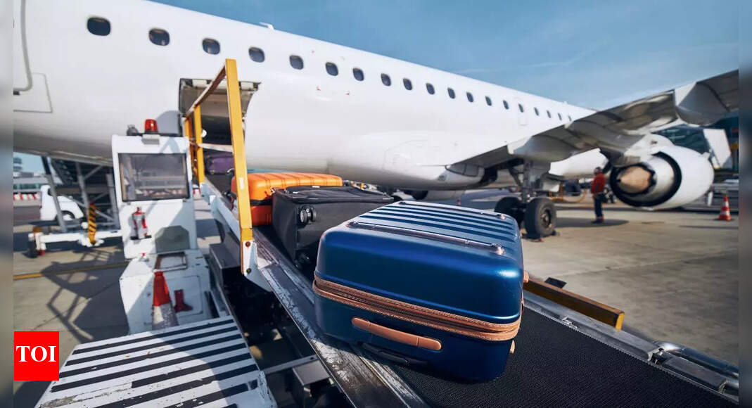 Airlines Bag Billions: How Checked Luggage Became a Profit Center