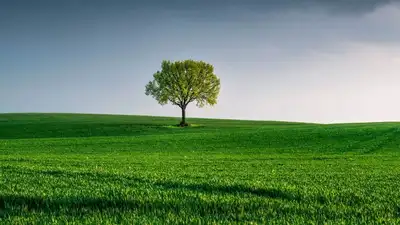 Go Green with MSEDCL bills, receive Rs 120 discount