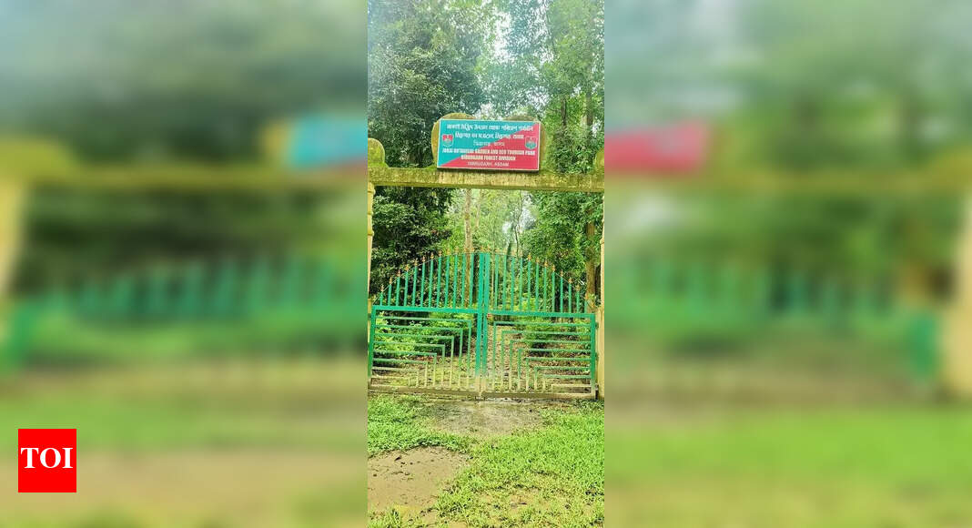 Jokai Botanical Garden Faces Neglect and Awaits Revival