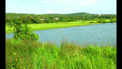 Goa plans to set up board to revive khazan land, will override TCP Act