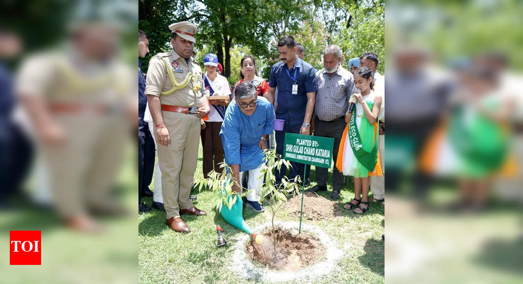 Kalaburagi Launches Massive Tree Planting for Green Future