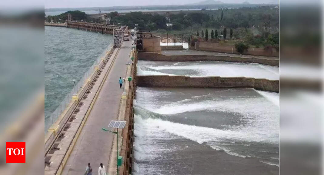 Tamil Nadu Asks Centre to Form Pennaiyar Water Tribunal