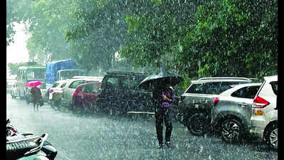 Monsoon loses steam, surplus shrinks to 20%