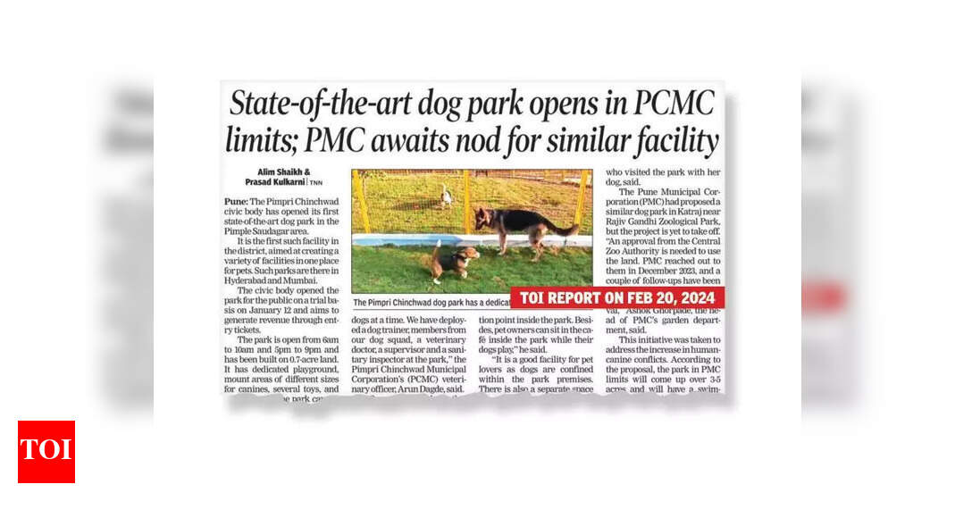Pune Plans Dog Park in Kharadi After Previous Setbacks