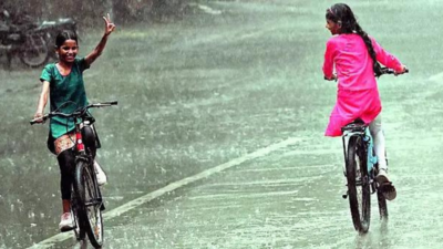 Stalled monsoon may revive after June 12, says IMD