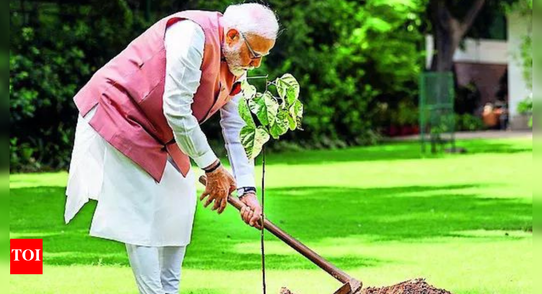 PM marks World Environment Day with a Sindoor sapling | India News – Times of India