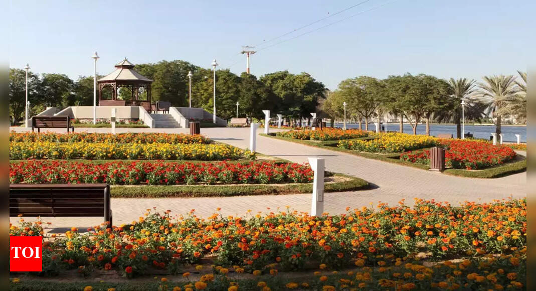 Eid al-Adha 2025: Dubai announces extended park timings | World News