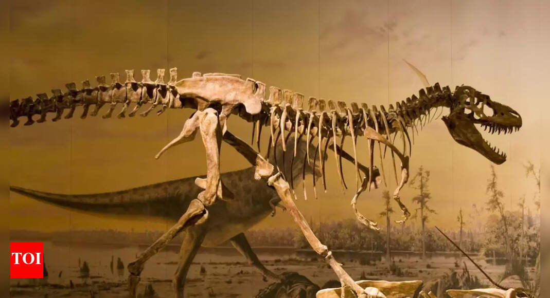 Fossil Evidence of Cancer Found in Dinosaurs