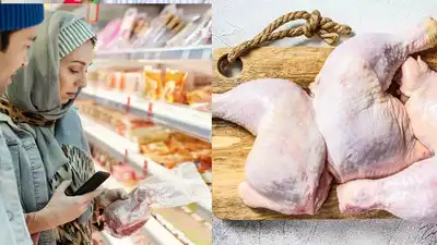 7 Things to check before buying Chicken in summers