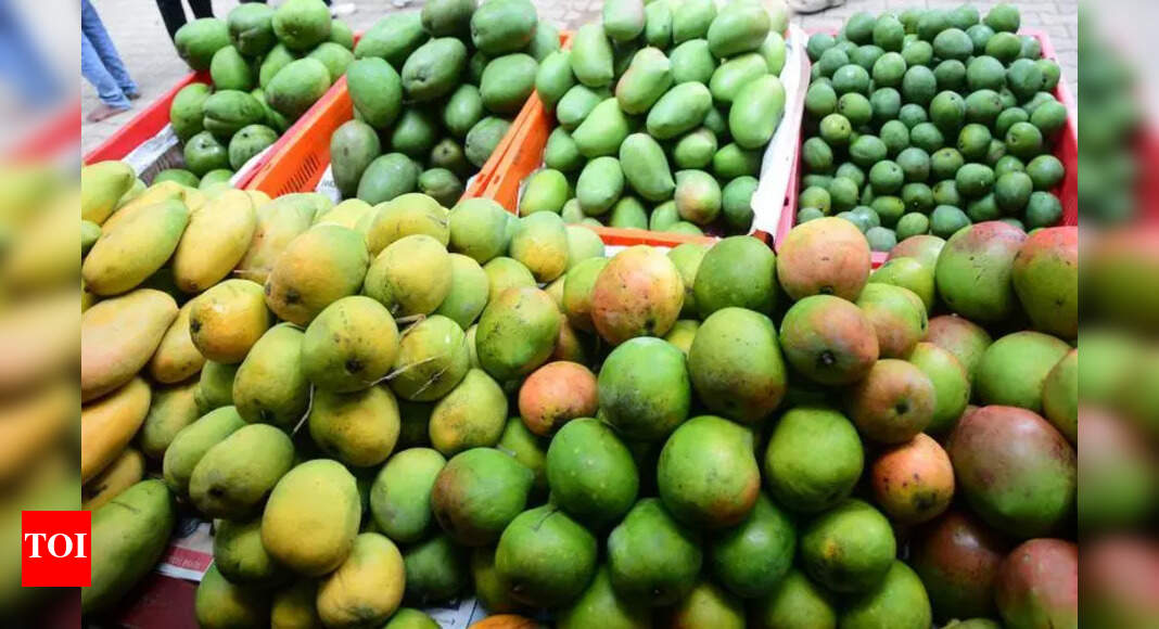 Organic Mango and Jackfruit Fair Kicks Off in Hubballi