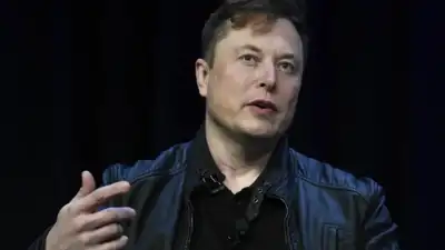 Australian city's protest ignites a war over environment- and Elon Musk