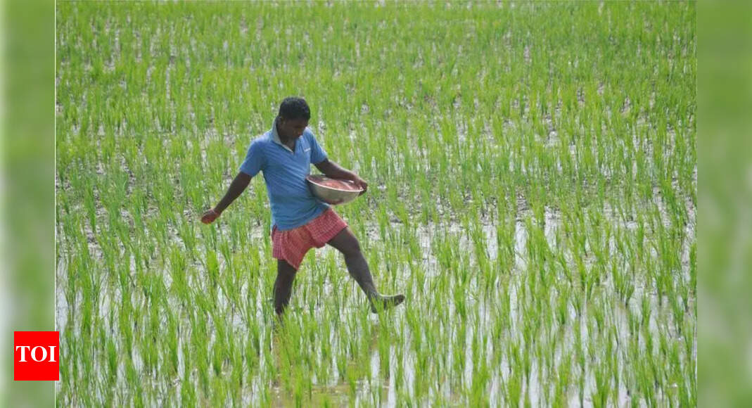 KGF Organizes Convention to Address Farmers' Issues in Chikkamagaluru