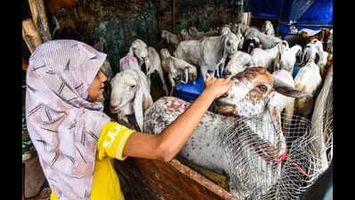 Three-day Bakr Eid festivities to begin today