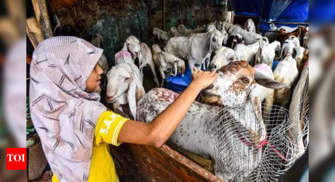 Eid al-Adha Celebrated in Delhi With Devotion