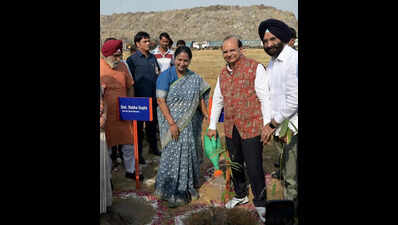 Garbage mountain at Okhla will be flattened by Dec, says Saxena