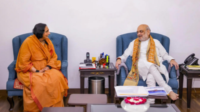 Amit Shah launches language hub to 'decolonise' admin