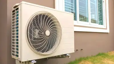 Should you use AC water on plants? Here are some pros, cons, and useful tips