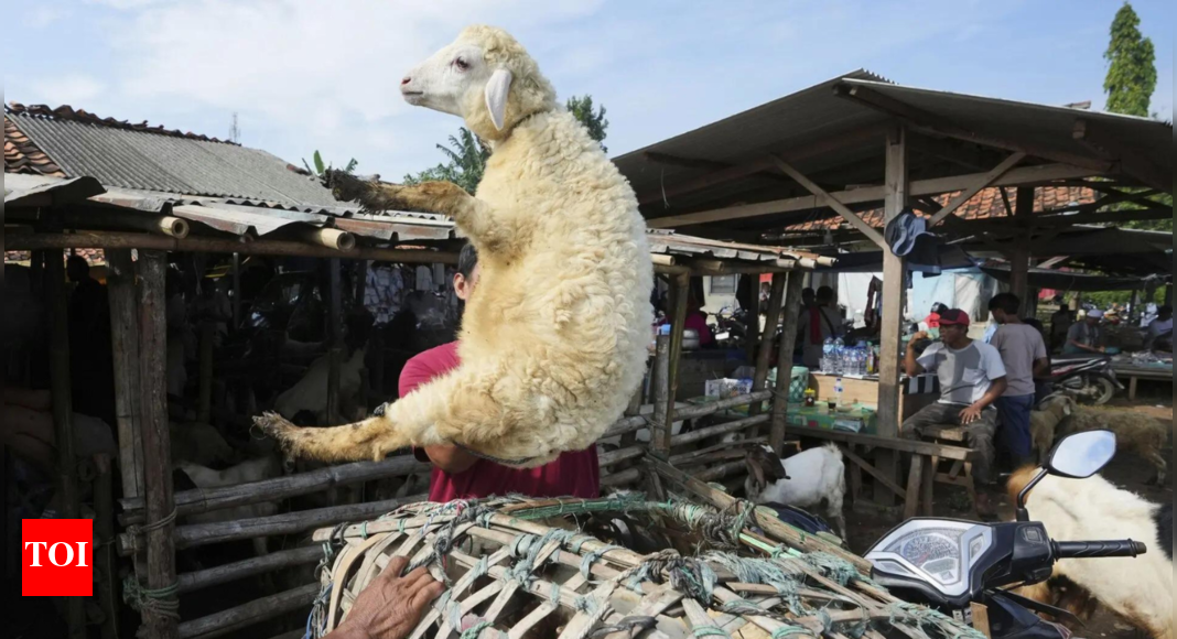 Eid Al Adha 2025: From Egypt to the UAE, can families across the Arab region afford sheep for sacrifice?