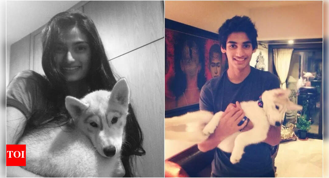 Athiya Shetty and Ahan Shetty pen emotional tributes as they bid farewell to beloved pet Brody: 'Until we meet again'