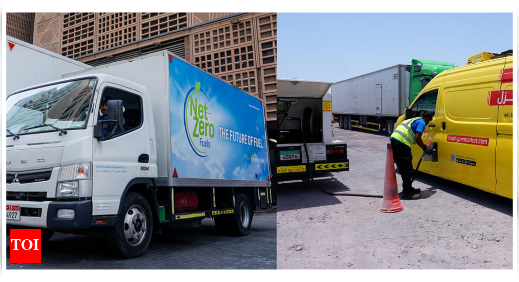 Green fuel: UAE retail giant LuLu now runs delivery fleet with biodiesel from used cooking oil