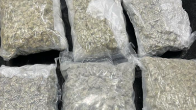 Hydroponic weeds worth Rs 3 crore seized from woman passenger at Coimbatore airport