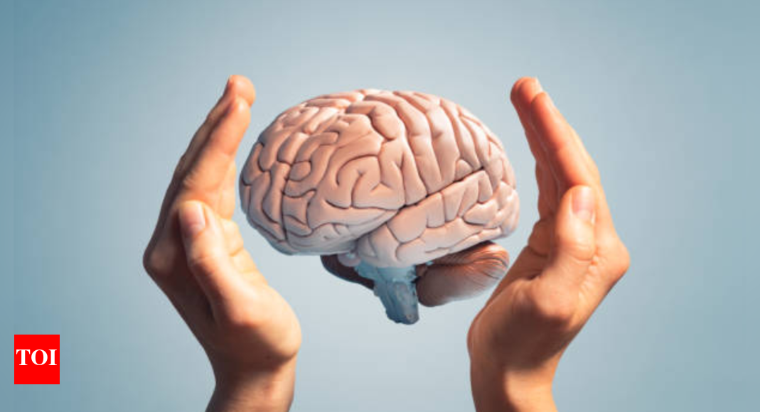 MIT scientists look beyond neurons to understand how the brain stores information