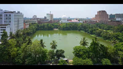 Office Para Dalhousie