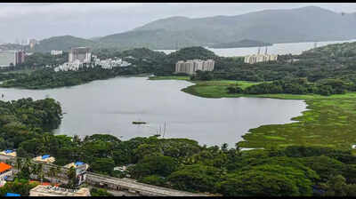 ‘Save Powai Lake’ human chain plan off over BMC fee