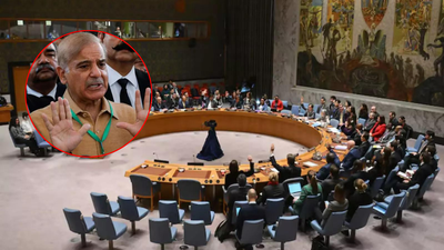 Pakistan's request  to seat  4 UN terror-related panels snubbed, yet   fixed  lone  one