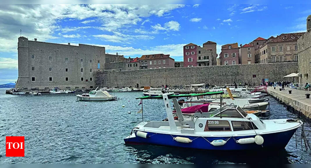 Croatia Schengen Visa Delays Shatter IIM Alumni Reunion Dreams
