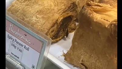  Cockroach crawls over paneer rolls at Mumbai Theobroma; video goes viral