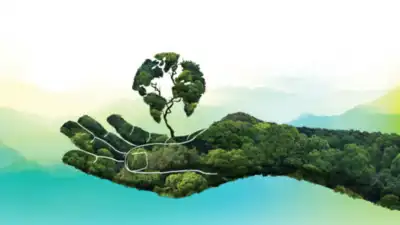  Environmental education needed for all says environmentalist; 10,000 mango saplings distributed
