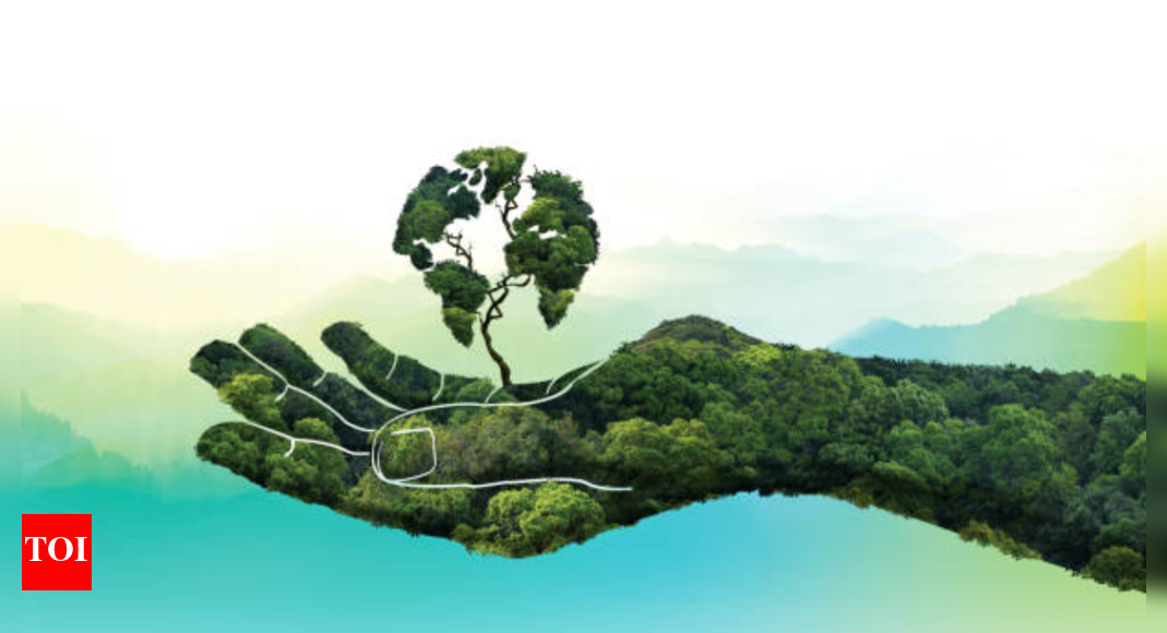 'Run for Nature 3.0': Environmental education needed for all says environmentalist; 10,000 mango saplings distributed