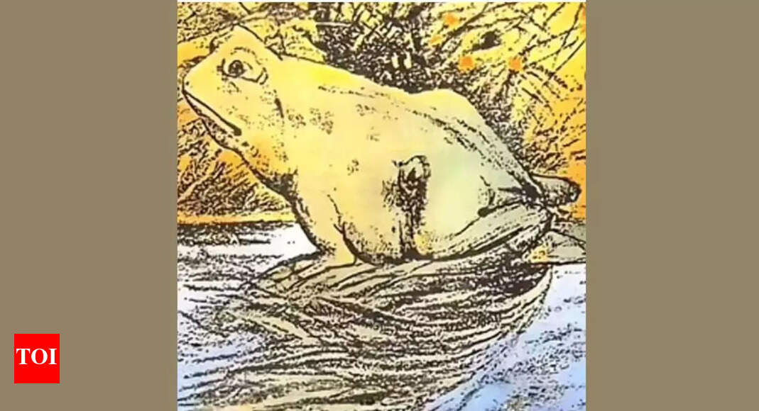Optical illusion personality test: Horse or frog? What you spot first reveals if you are happy about the future or sad about the past – Times of India