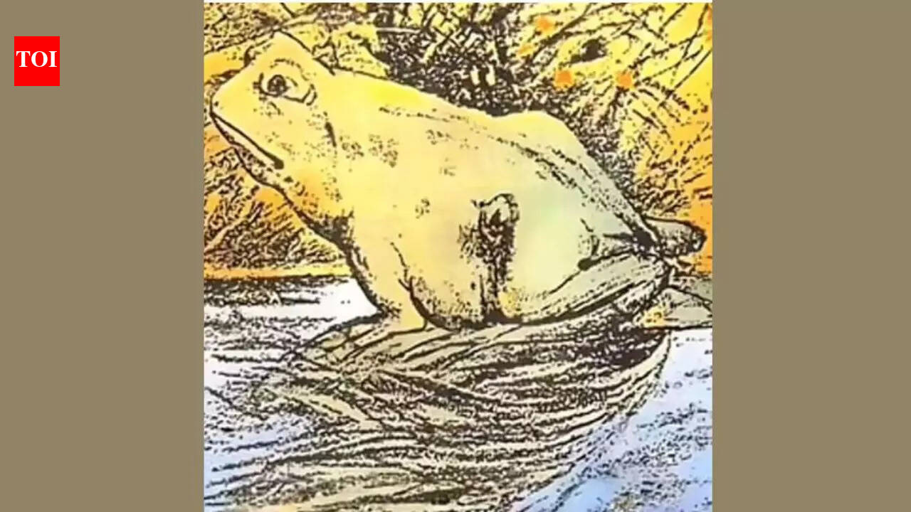 Optical illusion personality test: Horse or frog? What you spot first ...