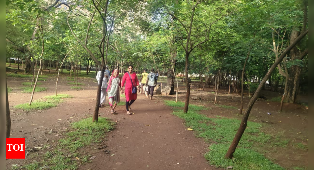 Thane residents allege political vendetta and tanker mafia behind opposition to Kavesar lake beautification