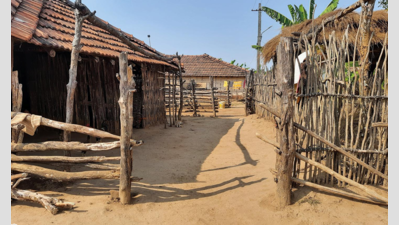 In an attempt to protect endangered bats, Karnataka to relocate locals from bordering village of Talewadi
