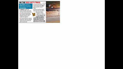 Leopard may have left Pune airport premises, say forest officials