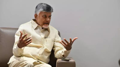 Andhra CM N Chandrababu Naidu pitches financial incentives to have more kids