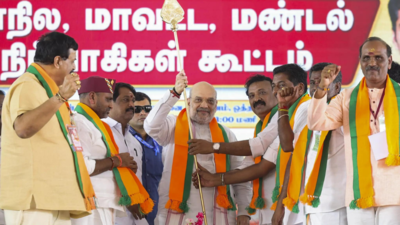 NDA will form govts in TN and Bengal in 2026, says Amit Shah