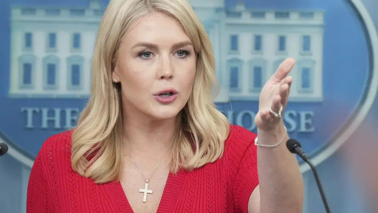 Did Elon Musk hit Scott Bessent? White House press secretary Karoline  Leavitt dismisses report; calls it 'robust disagreements' - Times of India