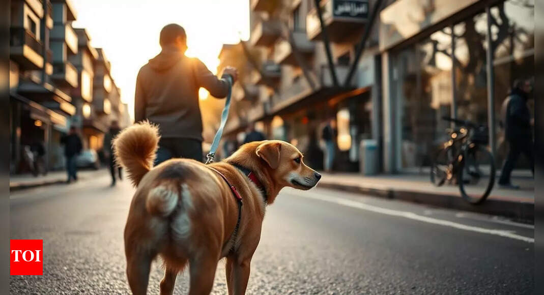 Ban on dog walking: Iran extends restriction to more cities; violators warned of legal action