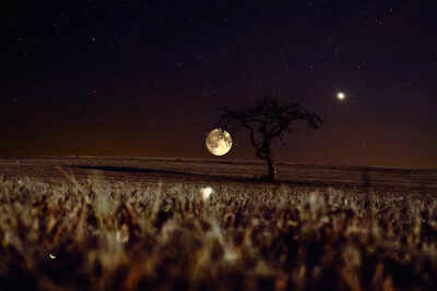 Strawberry Moon 2025: Date and Things You Need To Know About June's Full Moon
