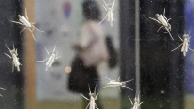 Japan's Osaka Expo temporarily suspends water shows after high levels of bacteria detected