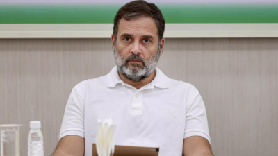 EC counters Rahul Gandhi's elector  rotation  demand; says polls details already provided